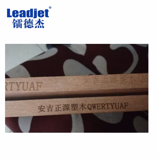 Leadjet 30W CO2 Laser Marking Machine for PP Pet Package Tube Discount China Manufacturer No Commission